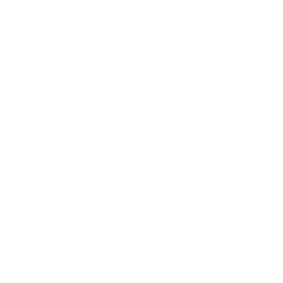 Daily Wellness